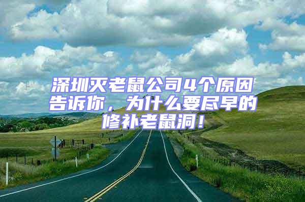 深圳滅老鼠公司4個原因告訴你，為什么要盡早的修補老鼠洞！