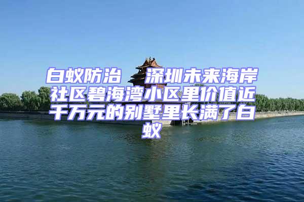 白蟻防治  深圳未來海岸社區碧海灣小區里價值近千萬元的別墅里長滿了白蟻