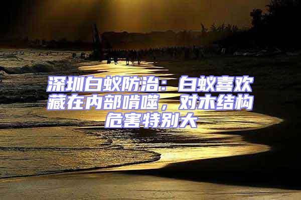 深圳白蟻防治：白蟻喜歡藏在內(nèi)部啃噬，對木結(jié)構(gòu)危害特別大