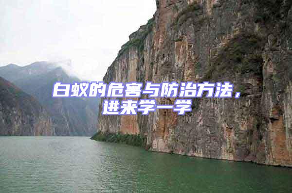 白蟻的危害與防治方法，進來學(xué)一學(xué)