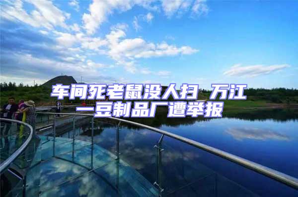 車間死老鼠沒(méi)人掃 萬(wàn)江一豆制品廠遭舉報(bào)