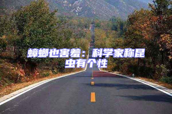 蟑螂也害羞：科學家稱昆蟲有個性