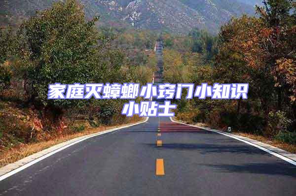 家庭滅蟑螂小竅門小知識小貼士