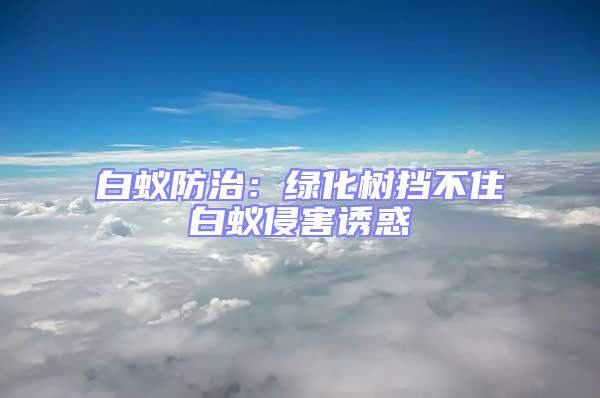 白蟻防治：綠化樹擋不住白蟻侵害誘惑