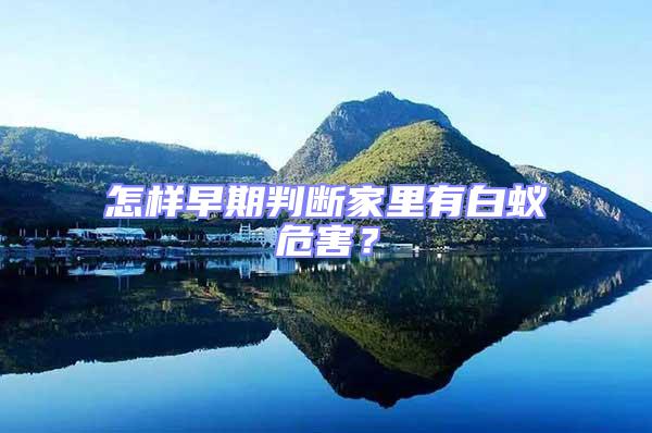 怎樣早期判斷家里有白蟻危害？