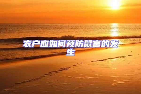 農戶應如何預防鼠害的發生