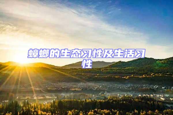 蟑螂的生態習性及生活習性