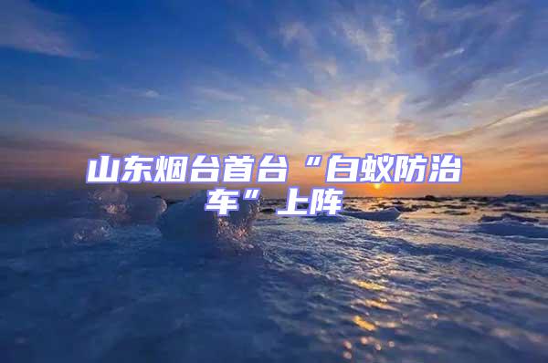 山東煙臺首臺“白蟻防治車”上陣