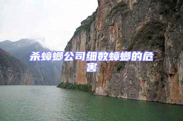 殺蟑螂公司細數蟑螂的危害