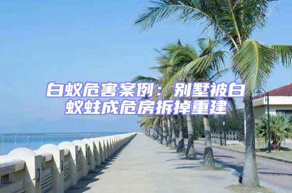 白蟻危害案例：別墅被白蟻蛀成危房拆掉重建