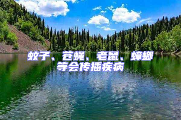蚊子、蒼蠅、老鼠、蟑螂等會傳播疾病