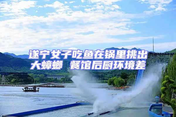 遂寧女子吃魚在鍋里挑出大蟑螂 餐館后廚環境差