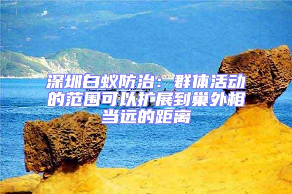 深圳白蟻防治：群體活動的范圍可以擴展到巢外相當遠的距離