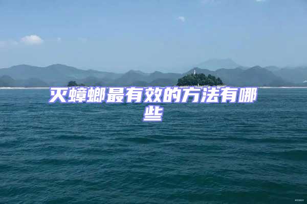 滅蟑螂最有效的方法有哪些