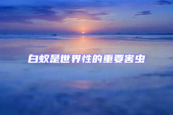 白蟻是世界性的重要害蟲