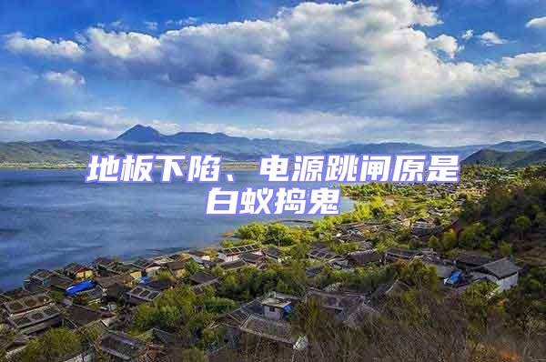 地板下陷、電源跳閘原是白蟻搗鬼