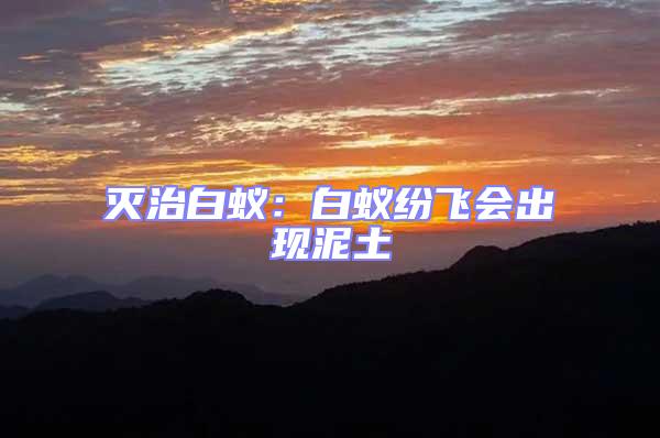 滅治白蟻：白蟻紛飛會出現泥土