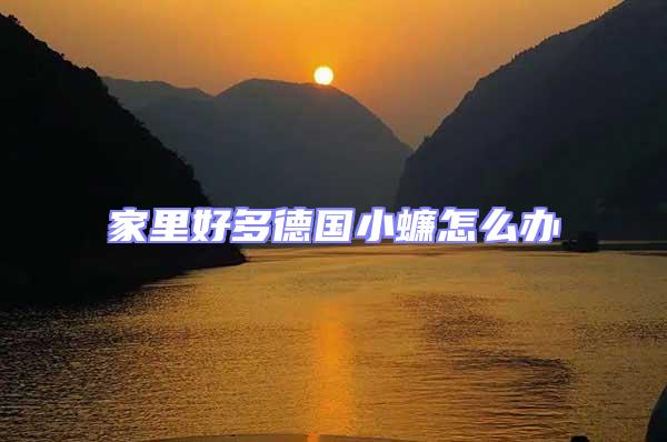 家里好多德國(guó)小蠊怎么辦