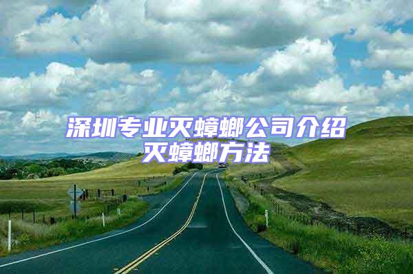 深圳專業滅蟑螂公司介紹滅蟑螂方法