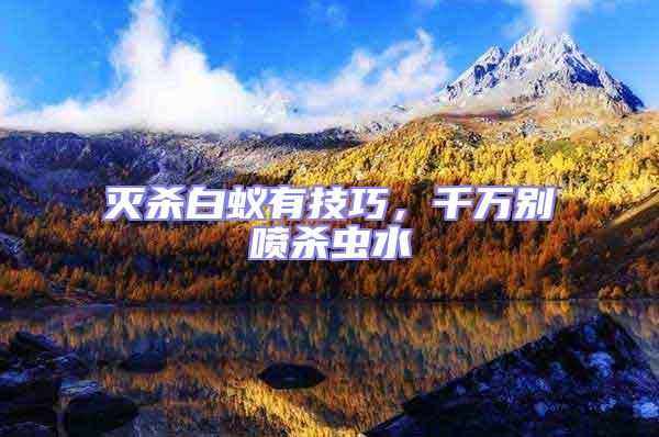 滅殺白蟻有技巧，千萬(wàn)別噴殺蟲水