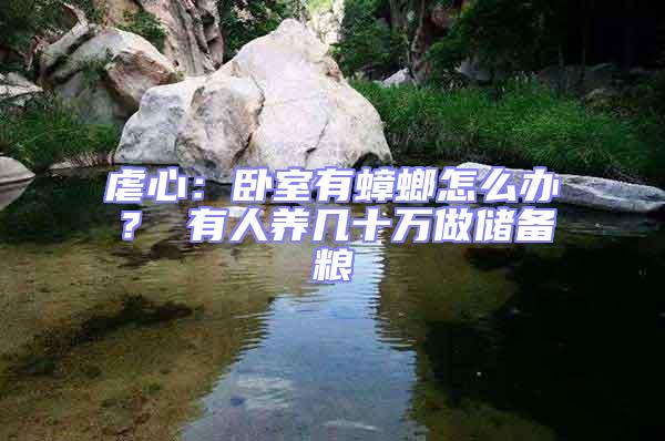 虐心：臥室有蟑螂怎么辦？ 有人養幾十萬做儲備糧
