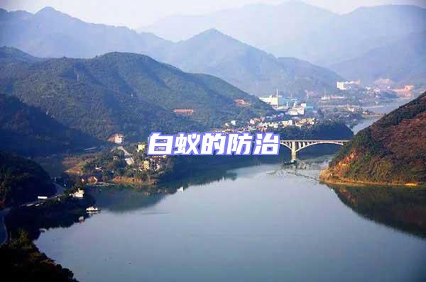 白蟻的防治