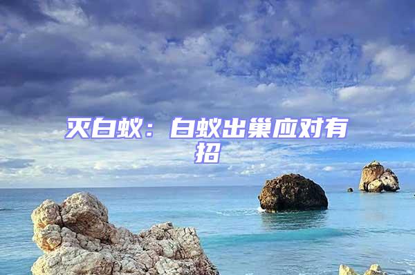 滅白蟻：白蟻出巢應對有招