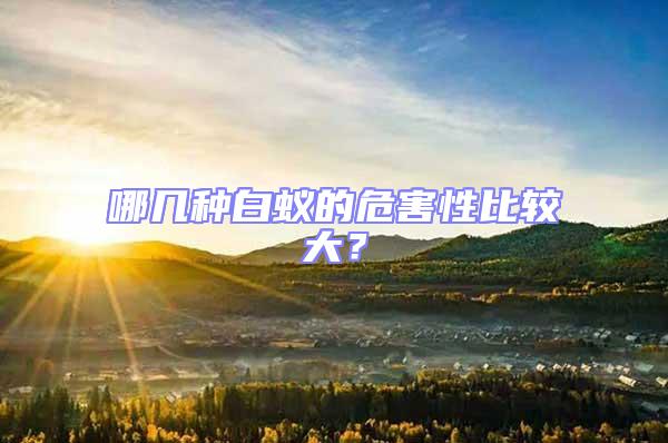 哪幾種白蟻的危害性比較大？