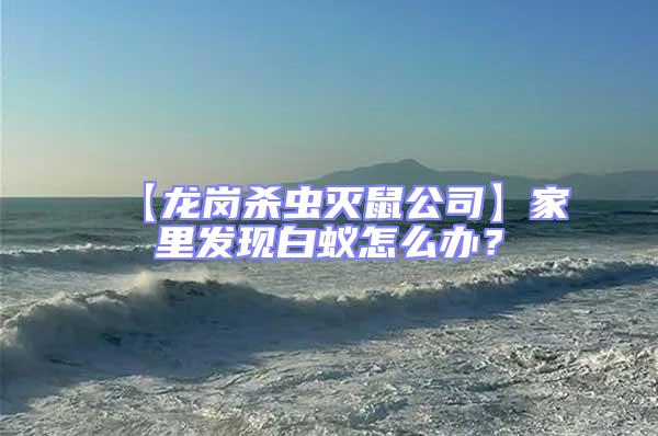 【龍崗殺蟲滅鼠公司】家里發(fā)現(xiàn)白蟻怎么辦？