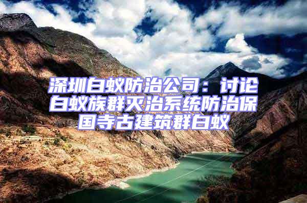 深圳白蟻防治公司：討論白蟻族群滅治系統(tǒng)防治保國寺古建筑群白蟻