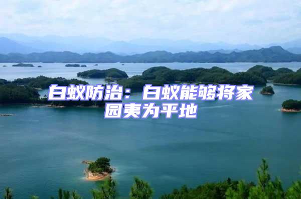白蟻防治：白蟻能夠將家園夷為平地