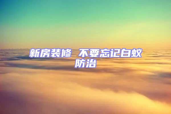 新房裝修 不要忘記白蟻防治