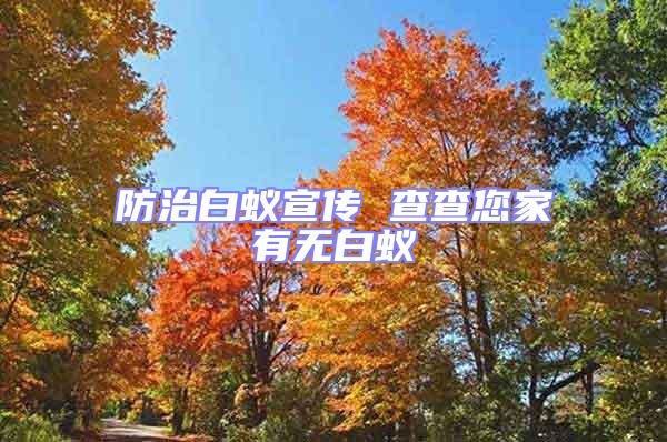防治白蟻宣傳 查查您家有無白蟻