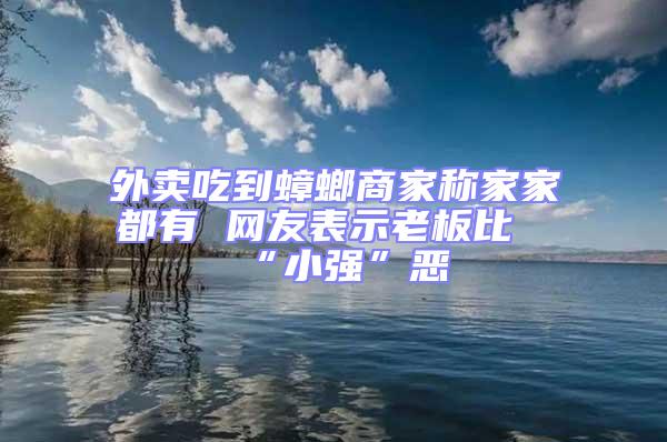 外賣吃到蟑螂商家稱家家都有 網友表示老板比“小強”惡