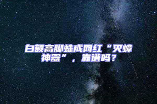 白額高腳蛛成網紅“滅蟑神器”，靠譜嗎？