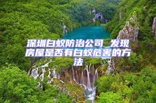 深圳白蟻防治公司 發現房屋是否有白蟻危害的方法