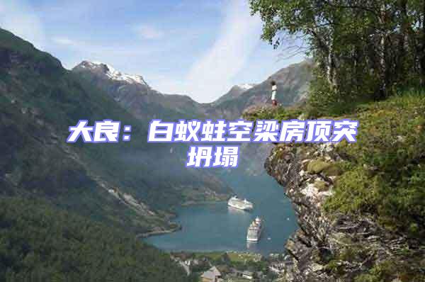 大良：白蟻蛀空梁房頂突坍塌