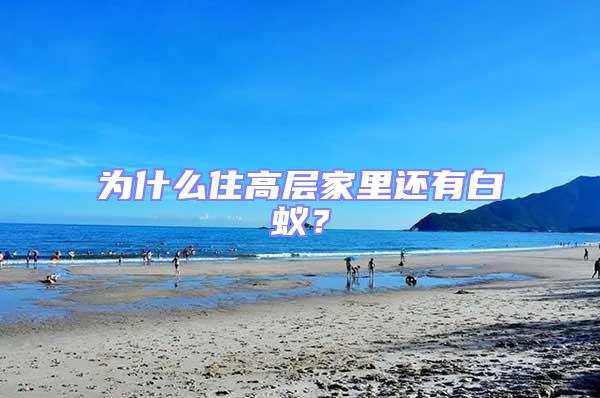 為什么住高層家里還有白蟻？