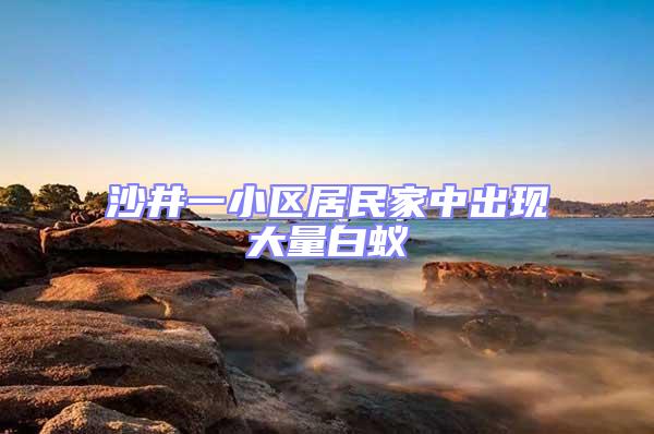 沙井一小區居民家中出現大量白蟻