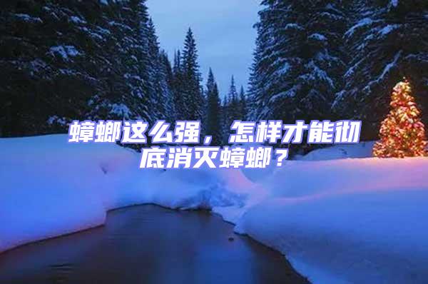 蟑螂這么強，怎樣才能徹底消滅蟑螂？