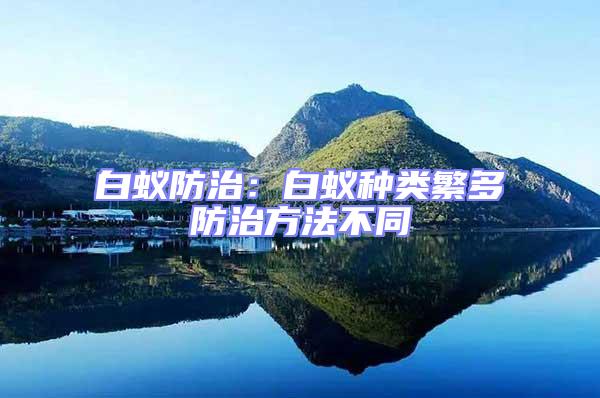 白蟻防治：白蟻種類繁多防治方法不同