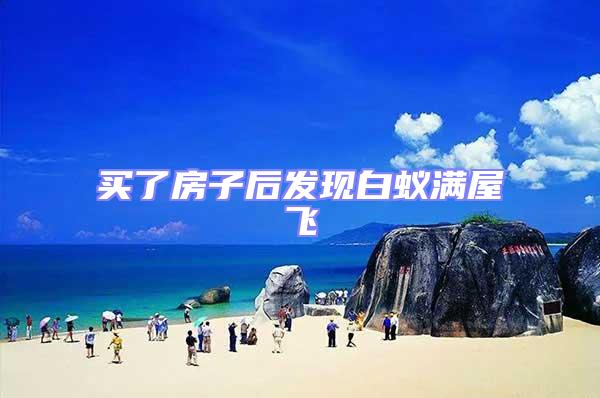 買了房子后發(fā)現(xiàn)白蟻滿屋飛