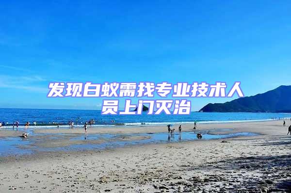 發現白蟻需找專業技術人員上門滅治