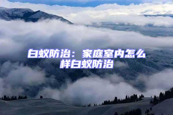 白蟻防治：家庭室內怎么樣白蟻防治