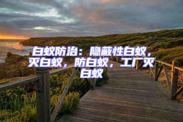 白蟻防治：隱蔽性白蟻，滅白蟻，防白蟻，工廠滅白蟻