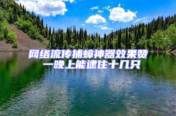 網絡流傳捕蟑神器效果贊 一晚上能逮住十幾只
