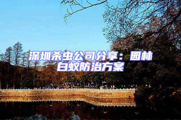 深圳殺蟲公司分享：園林白蟻防治方案