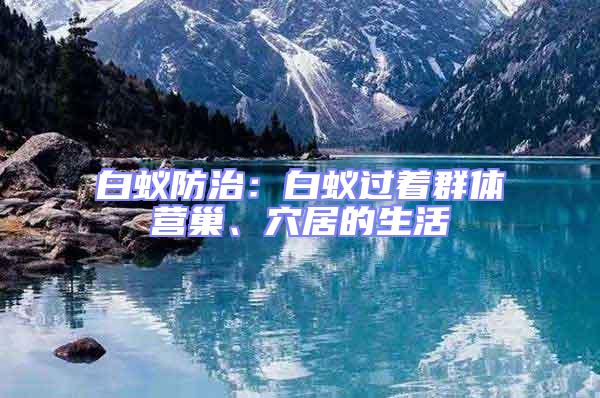 白蟻防治：白蟻過著群體營巢、穴居的生活