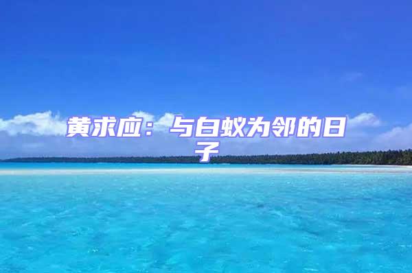 黃求應：與白蟻為鄰的日子