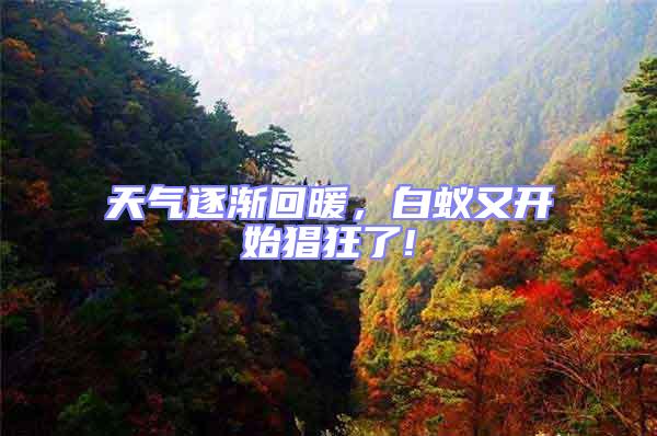 天氣逐漸回暖，白蟻又開始猖狂了!